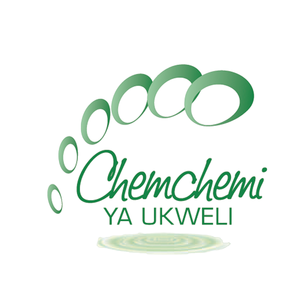 chemichemi-logo